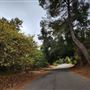 Franklin Canyon Park - Santa Monica Mountains Conservancy - SMMC