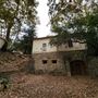 Franklin Canyon Park - Santa Monica Mountains Conservancy - SMMC