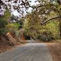 Franklin Canyon Park - Santa Monica Mountains Conservancy - SMMC