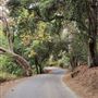 Franklin Canyon Park - Santa Monica Mountains Conservancy - SMMC