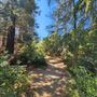 Franklin Canyon Park - Santa Monica Mountains Conservancy - SMMC