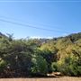 Franklin Canyon Park - Santa Monica Mountains Conservancy - SMMC