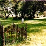 Gold Hill Cemetery