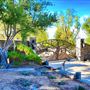 Peppertree Lane Ranch
