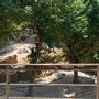 Los Angeles Zoo & Botanical Gardens - LA Zoo