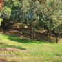 Bogart Regional Park