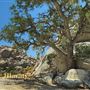 Boulder Gardens Sanctuary