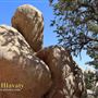 One45 - Desert Rocks