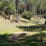 Idyllwild Regional Park