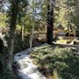 Historic Brookdale Lodge - Santa Cruz Mountains