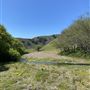 Rosko Ranch