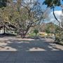 University of California, Los Angeles - UCLA