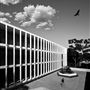 University of California San Diego, UCSD