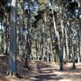 Presidio Trust - BRAC