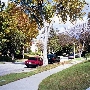 Hancock Park Neighborhood