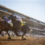 Del Mar Thoroughbred Club