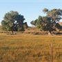 Kemper Campbell Ranch