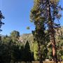 Kennedy Meadows Resort & Packstation
