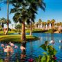 Palm Desert
