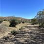 ADM Ranch