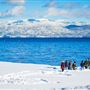 Tahoe City