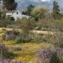 Pearblossom Picture Ranch