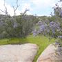 Stone Meadows Ranch