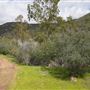Stone Meadows Ranch