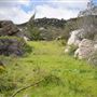 Stone Meadows Ranch