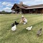 Reed River Ranch