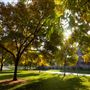 University of California, Riverside - UC Riverside