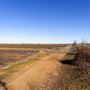 DLX Ranch