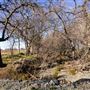 DLX Ranch