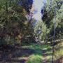 DLX Ranch