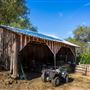 Sinclair Family Farm