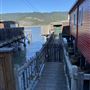 Bolinas
