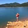 Shasta-Trinity National Forest, Shasta Lake Recreation Area