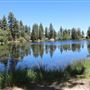 Camp Cedar Lake