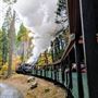 Yosemite Mountain Sugar Pine Railroad
