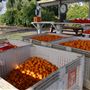 Moody's Middle Mountain Mandarins