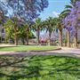 Park La Brea Community