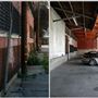 Willow Studios
