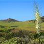 Wildwood Regional Park