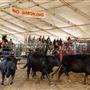 World Ag Expo®