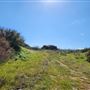 Rocky Peak Park