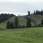 Browder Ranch
