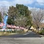 Castaic Lake RV Park