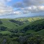 Halter Ranch