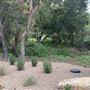 Halter Ranch