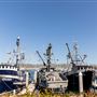 Ventura Harbor - Ventura Port District